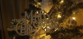 't Grote Egeltje XL chalet 220 - 6