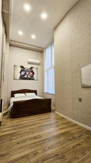 Nizami City Apartments and HOTEL - Baku - 6