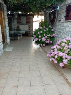 Apartman Kiwi - Umag - 2