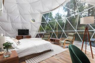 Dream Dome - Romantic Getaway, Hot Tub, AC, Wifi, National Park 8 min - Luray - 1