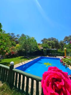 Finca rural Labriega del hueznar - 0