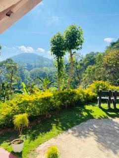 Ella Willow Cottage - 0