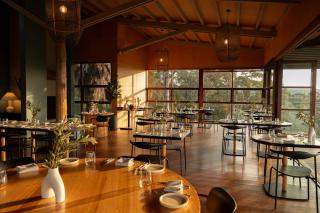 Mimosa Wines - Murrah - 9