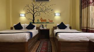 Hotel Mirage Sauraha - 6