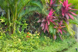 Lily 3 BR Private Pool Villa AN27 - Munggu - 8