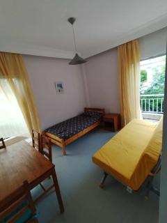 Beachfront apartment 10m from the beach - Paralia Dionysiou - 9
