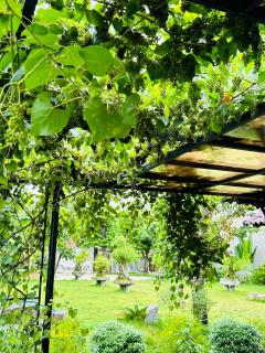 Homestay Highland Garden - Phu Yen - 8