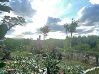 Homestay Highland Garden - Phu Yen - 3