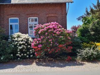 Ferienwohnung Annegret Schuback - Jork - 0