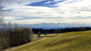 Haus Schlageter - Dachsberg im Schwarzwald - 2