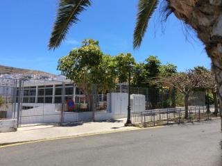 La Palmita de Canarias - Agaete - 7