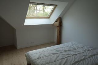 Carnac au calme, en pleine foret à 400 m d'un bras de mer - 8