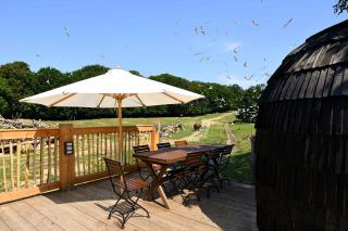 Ree Park Safari - Ebeltoft - 5