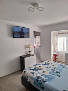 Apartament IRIS Băile Herculane - Băile Herculane - 8