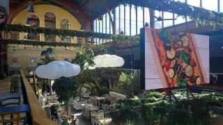 Spacious and Sunny - 1