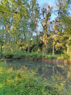Gîte au coeur d'un vignoble - Saint-Aignan - 3