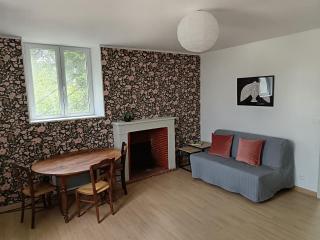Gîte au coeur d'un vignoble - Saint-Aignan - 2