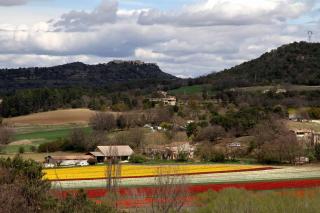 Gîte 1 Ferme Equestre Les Coccinelles - Lurs - 5