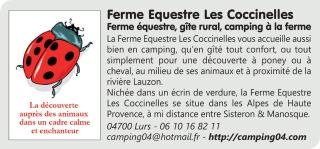 Gîte 1 Ferme Equestre Les Coccinelles - Lurs - 1