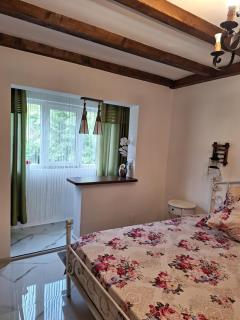Apartament ELVIRA Băile Herculane - Băile Herculane - 8