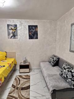 Apartament TIMEEA Baile Herculane - Băile Herculane - 9