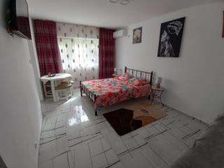 Apartament TIMEEA Baile Herculane - Băile Herculane - 6