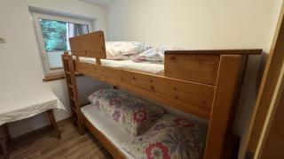 Ferienwohnung Mayrhofer - Leogang - 1