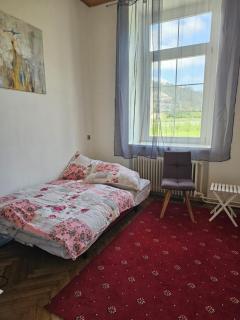 Lemmerer Homestay - Sankt Lorenzen bei Knittelfeld - 7