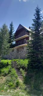 Green Pine House - Žabljak - 8