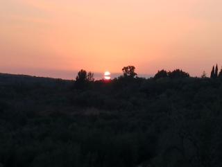 Agricampeggio Wishne - Bisceglie - 1