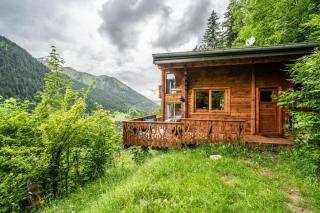 La Rissole - Chalet familial - Châtel - 7