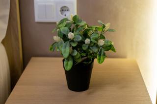 Apartamento Turistico Lux Center - Valencia - 1
