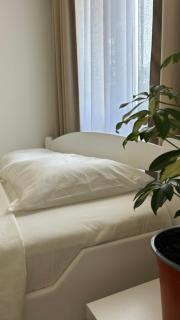 Apartmani Radmanovic - 3