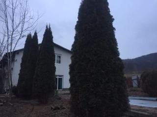 Casa Din Deal - Podişu - 4