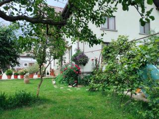 Casa Cornelia - Bran - 9
