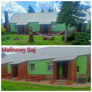 Malinowy Gaj - Agroturystyka z alpakami i innymi zwierzętami - 6