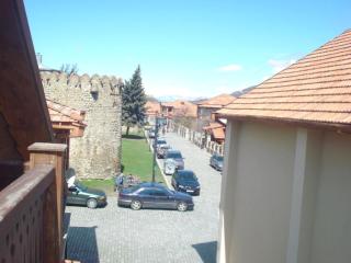 guest house Akaki - Mtskheta - 1