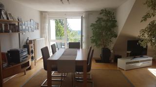 Schöne Wohnung frei in Alfdorf bei Stuttgart - Alfdorf - 0