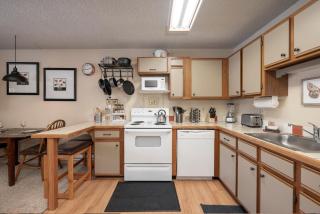 Snowblaze E102 Studio - 1