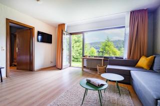 black forest apartments titisee - Titisee-Neustadt - 9
