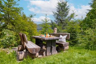 black forest apartments titisee - Titisee-Neustadt - 7