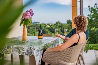 Wellness Počitniška hiša Manja - Ljutomer - 3