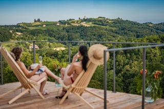 Wellness Počitniška hiša Manja - Ljutomer - 4