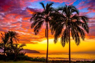 Charming Beach Apartment Your Hawaiian Getaway - Haleiwa - 0