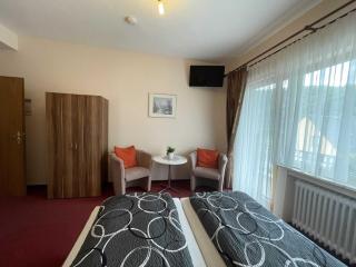 Hotel Zur Mosel - Minheim - 1