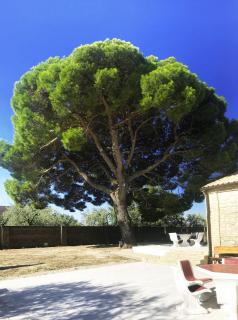 Le Tre Lune B&B - Lucera - 1