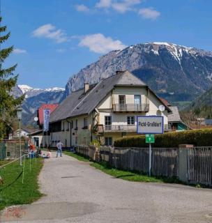 Alpakas, Lamas und Rentiere zum Grünen See - - 4