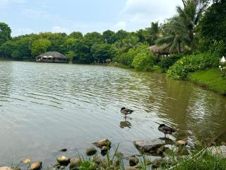 Rose homestay Ecopark - 2