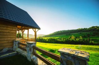 Bieszczady Żubrowe Wzgórze 785-049-543 - Stężnica - 9