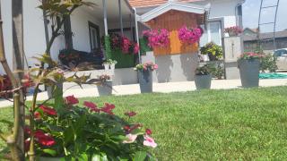 Villa Ruža - Golubac - 5